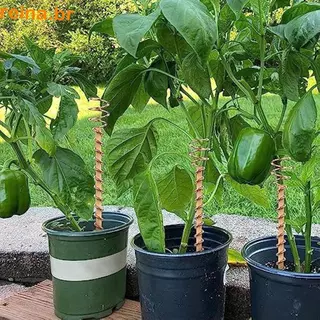 Estacas Para Plantas De Eletrocultura REINA , Antenas De Bobina De Cobre Jardinagem Com Fio , Haste em Oferta na Shopee