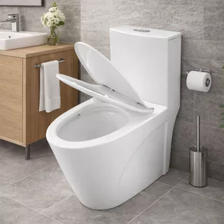 Vaso Sanitário Privada Cerâmica Monobloco Caixa Acoplada Completo Branco Esmaltado