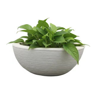 Vaso de Planta Bacia Com Prato Escovado 2 Decorativo Cinza em Oferta na Shopee