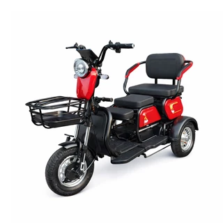 Triciclo Elétrico 1000W Autopropelido 48V 20Ah Até 3 Pessoas Urbano em Oferta na Shopee