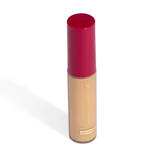 Eudora Corretivo Cor 10 Niina Secrets Perfect Match 10ml em Oferta na Shopee