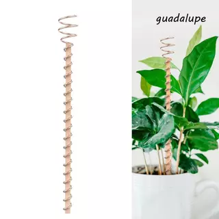 Antenas De Bobina De Cobre Para Jardinagem GUADALUPE , Estacas De Plantas De Eletrocultura Com Haste , Fio em Oferta na Shopee