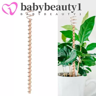 BABYBEAUTY1 Antenas De Bobina De Cobre Para Jardinagem , Estacas Plantas De Eletrocultura Com Fio , Haste em Oferta na Shopee