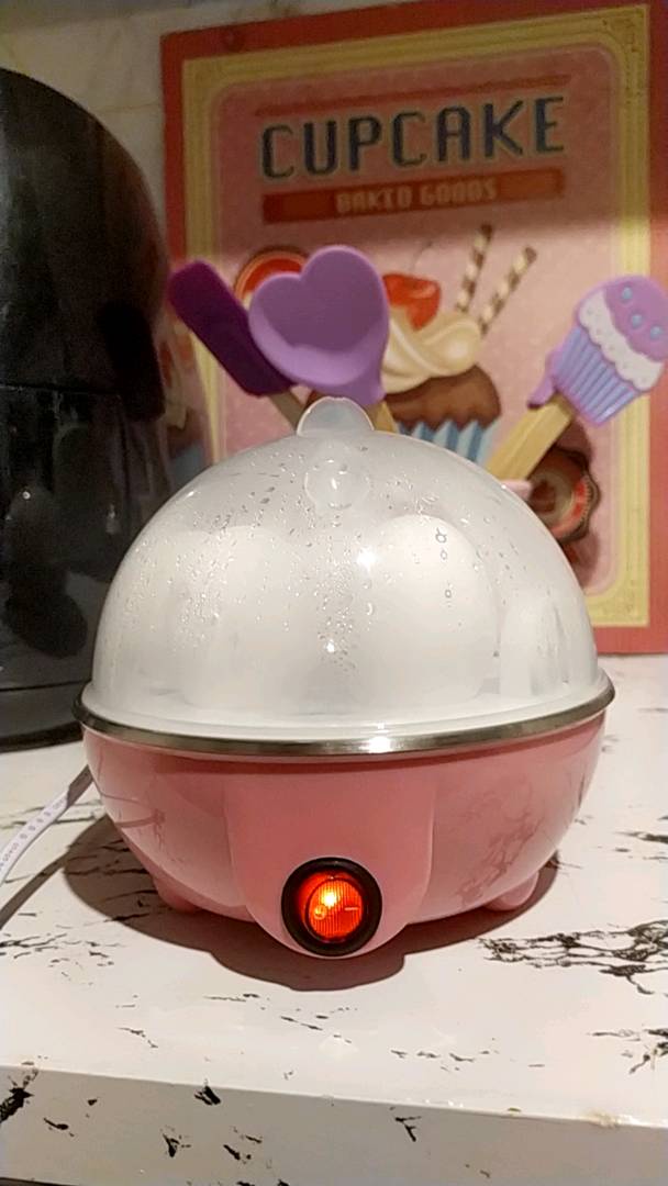 Panela elétrica para cozinhar ovos Omeleteira Steam Cooker - Easy Egg -  Mondial - niknikbugigangas