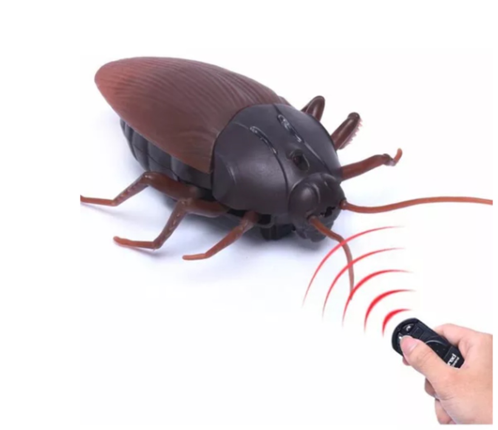 BRINQUEDO BARATA ELETRICA COM CONTROLE REMOTO | Shopee Brasil