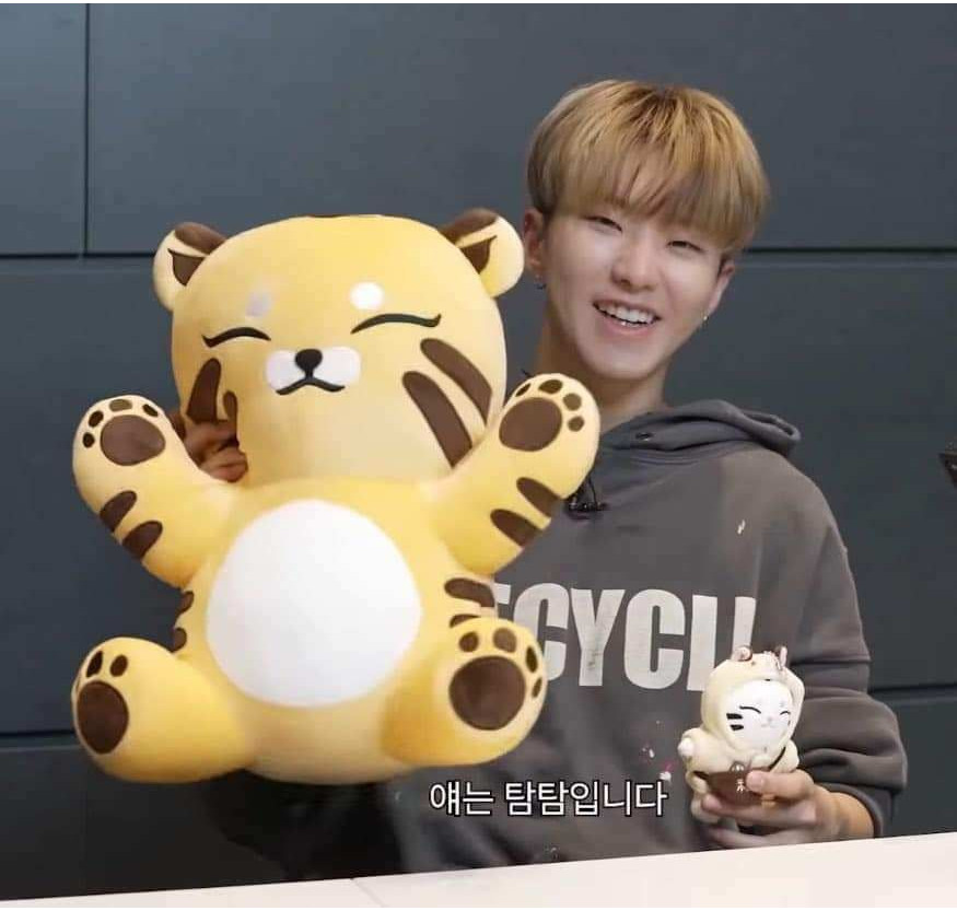 43cm Kpop Idol Dezessete HOSHI Brinquedo De Pelúcia Bonecos TAMTAM