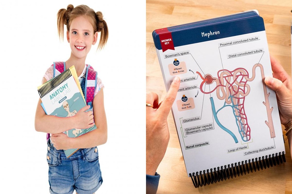 Recursos De Prática De Exame Ap Anatomia Engaging Livro De Exercícios ...