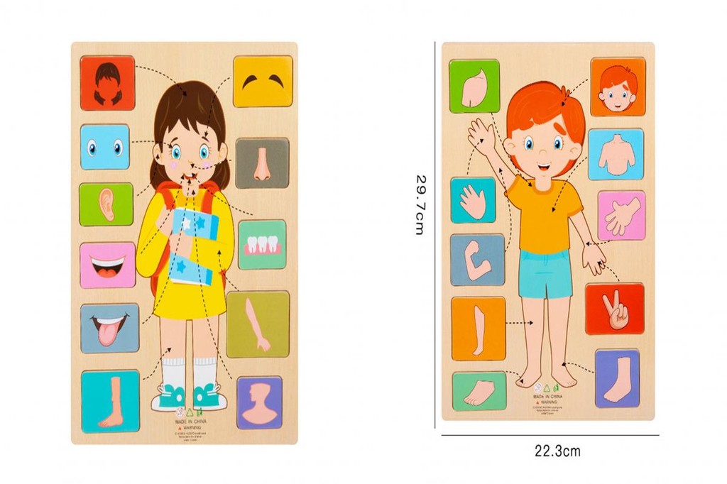 Wooden Body Puzzle Anatomy Learning Game for Kids Educational Stem Toy ...