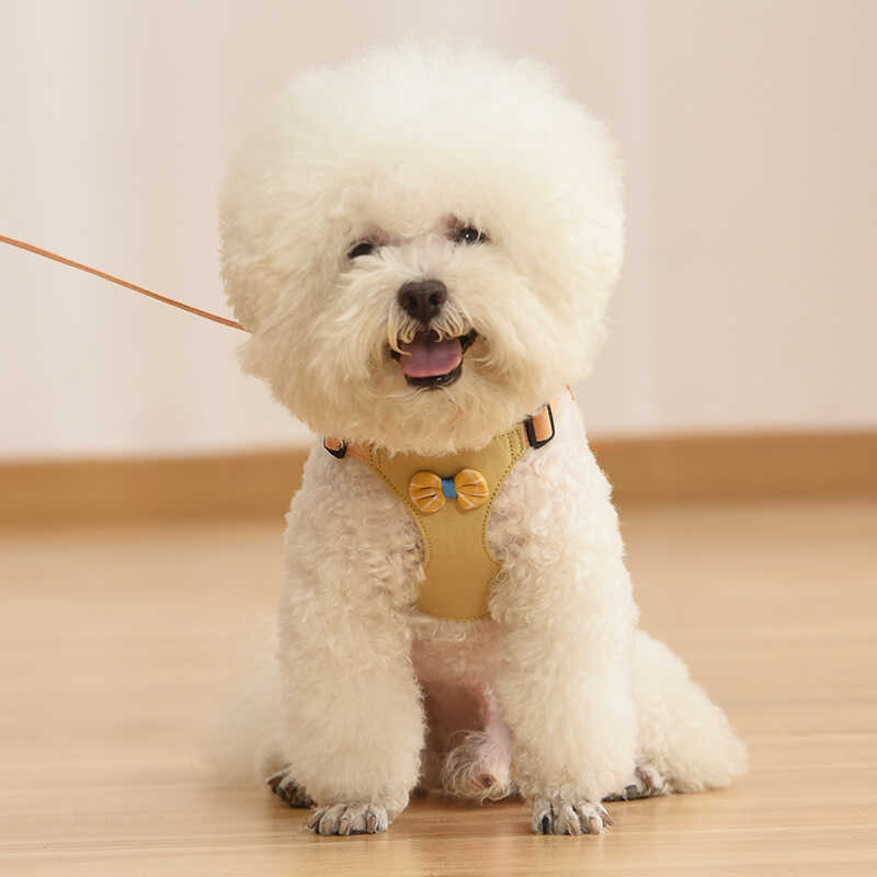 Coleira de cachorro fofa tipo colete para cachorro pequeno Teddy Bichon ...