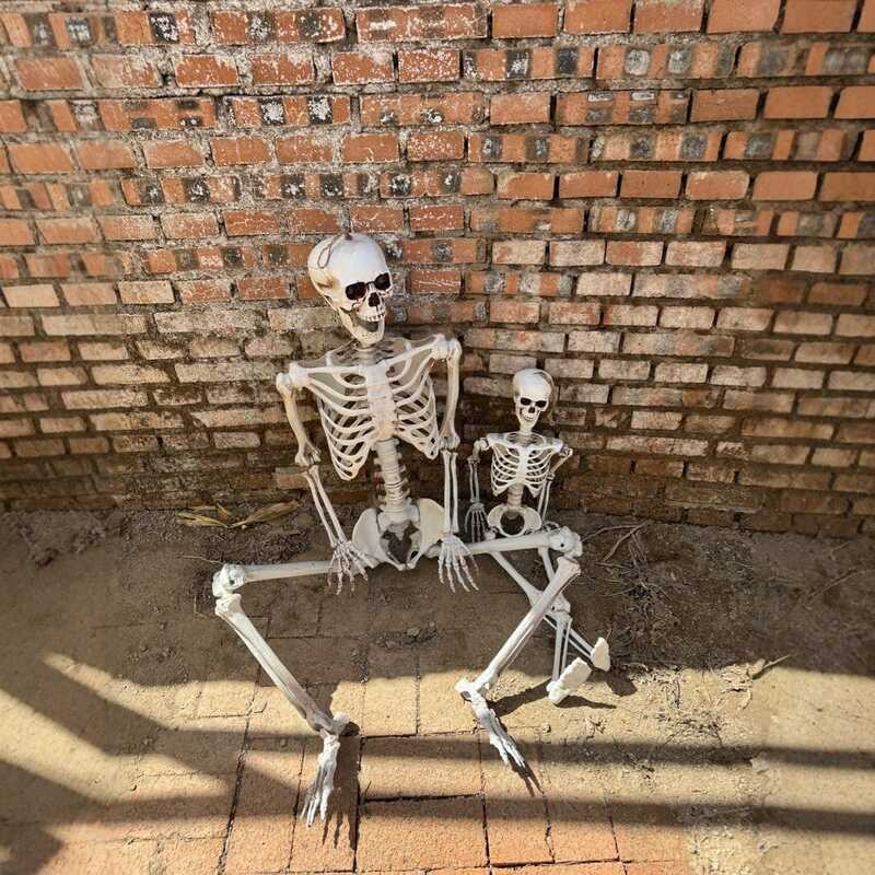 Esqueleto de plástico de 165cm, decoração de casa assombrada, sala secreta, suprimentos KTV, simulação humana, adereços 