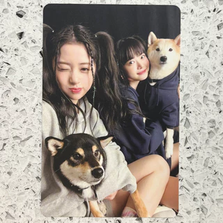 Yunjin Eunchae Photocard Le Sserafim 1o Álbum De Estúdio Não Perdoável Ao Todo