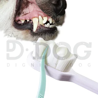 Escova De Dentes Para Animais De Estimação , Dignidade , Cão , Onda , Cuidados Dentários E Gato , Praga , Remoção De Tár