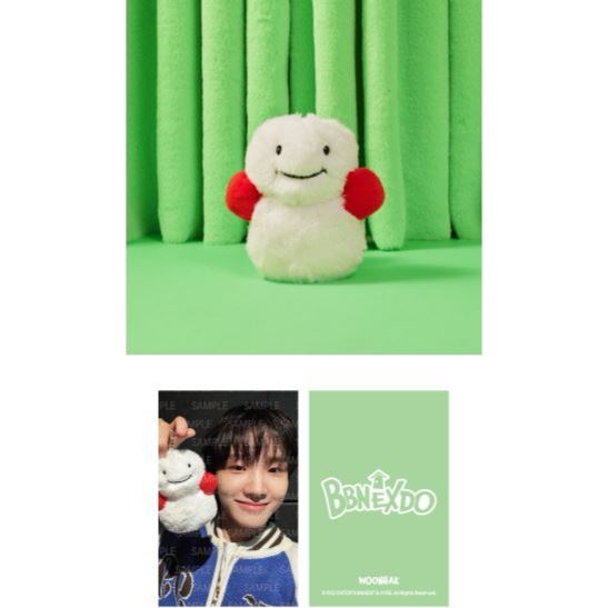 Chaveiro De Pelúcia BOYNEXTDOOR (Como ? ver .) | Shopee Brasil