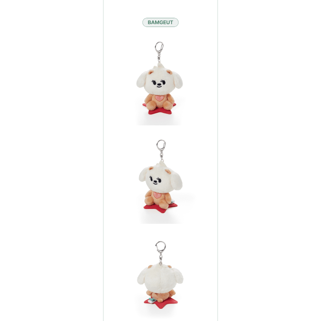 TXT - PPULBATU PLUS X TOGETHER Plush Keyring | Shopee Brasil