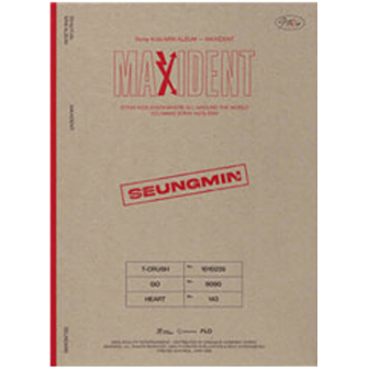 STRAY KIDS - [ MAXIDENT ] Mini Album (CASE Ver.) | Shopee Brasil