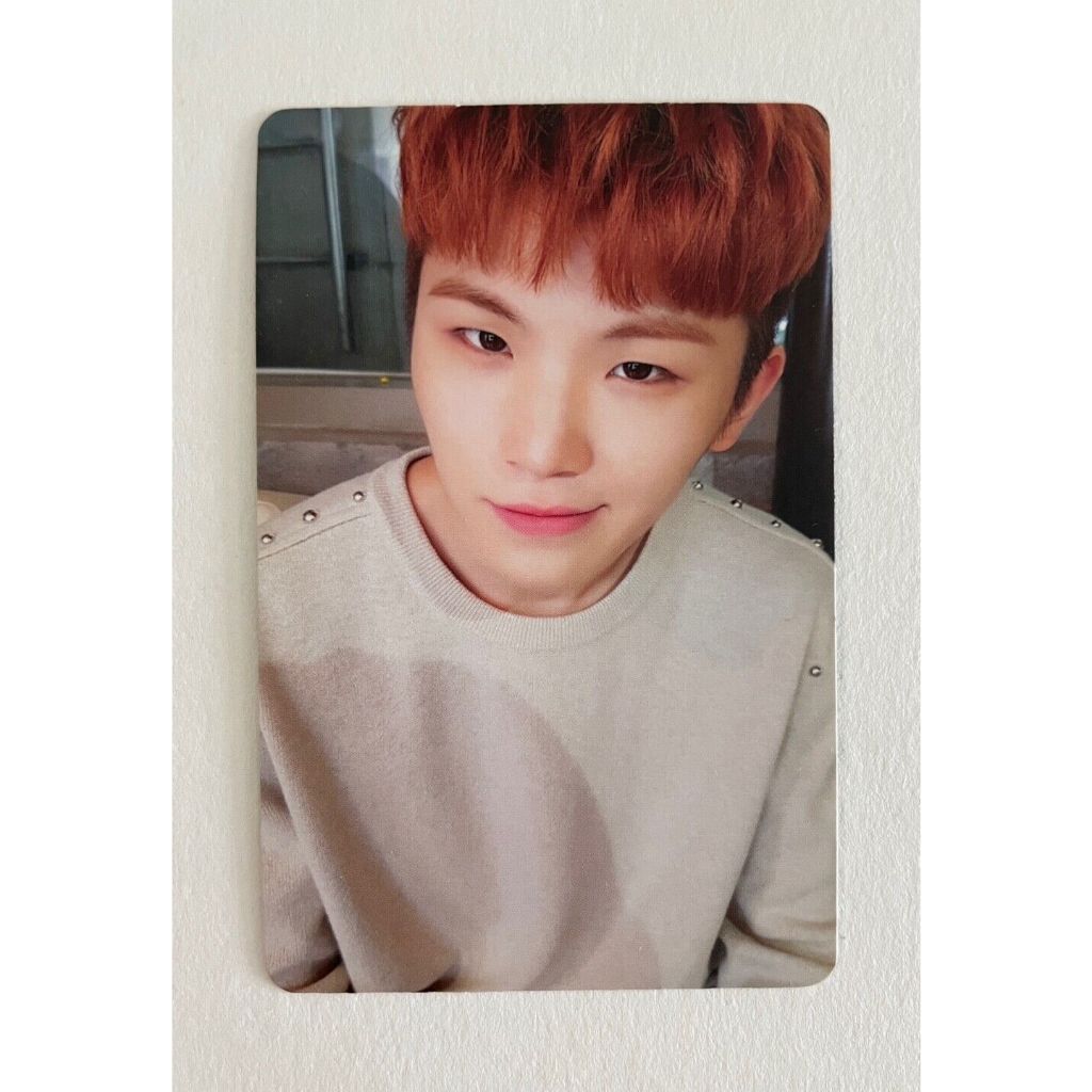 Dezessete 2o Álbum TEEN , AGE Kpop Photocard Oficial Wonnwoo
