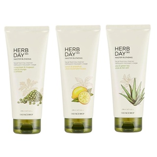 [THE FACE SHOP] Herb Day 365 Master Blending Facial Foaming Cleanser 170ml / 3 Option