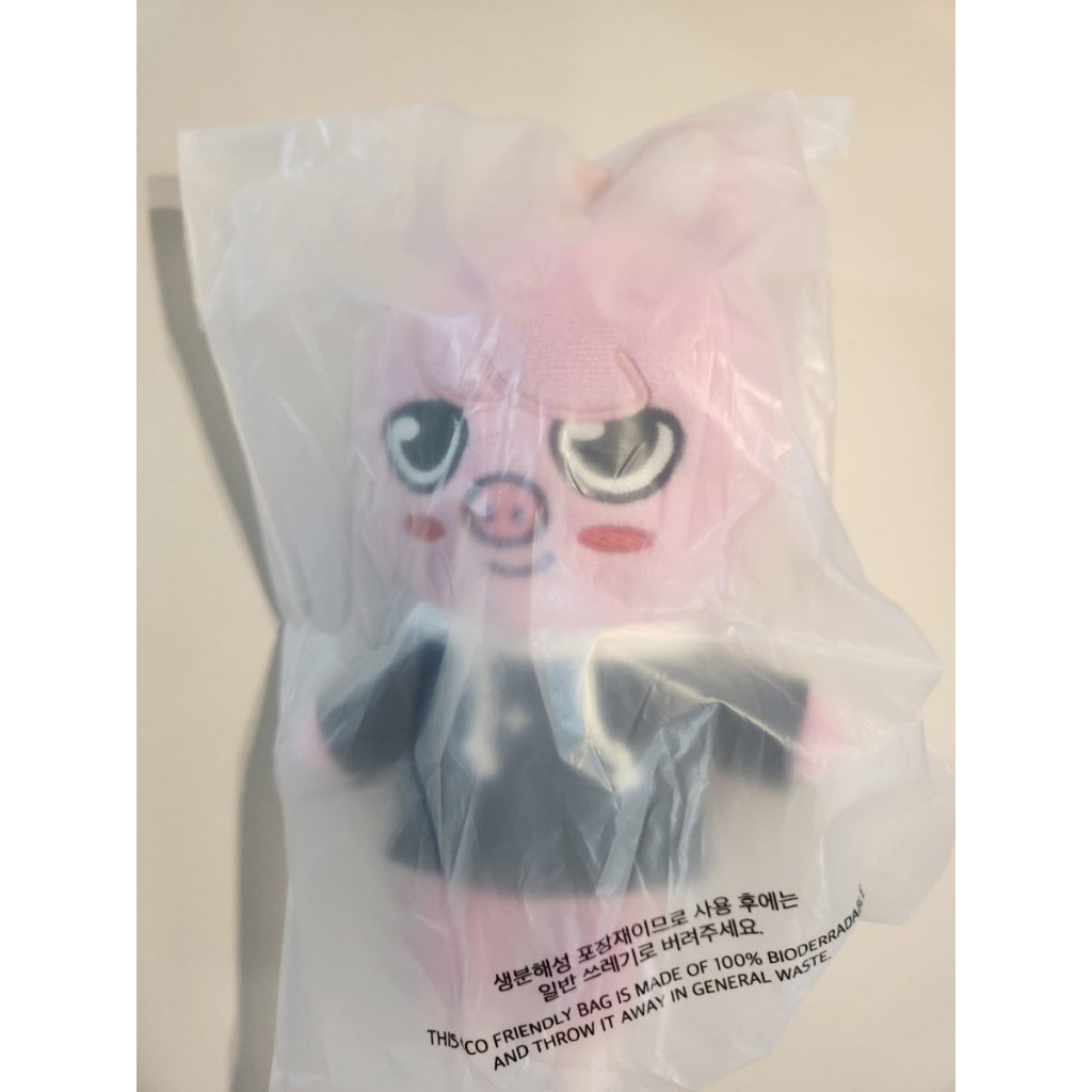 Em Mão) STRAY KIDS x SKZOO Todas As Versões PLUSH Doll POP-UP 4TH