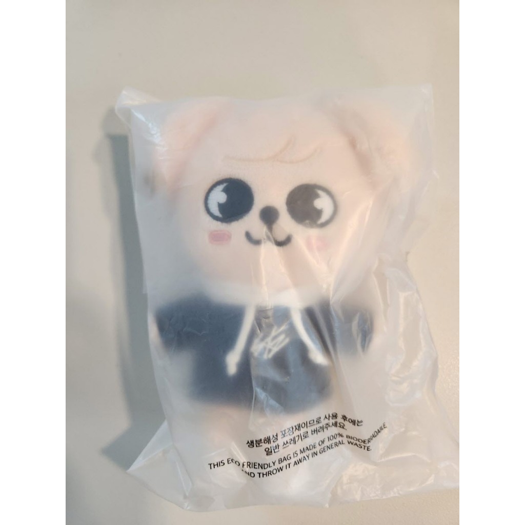 Em Mão) STRAY KIDS x SKZOO Todas As Versões PLUSH Doll POP-UP 4TH ...
