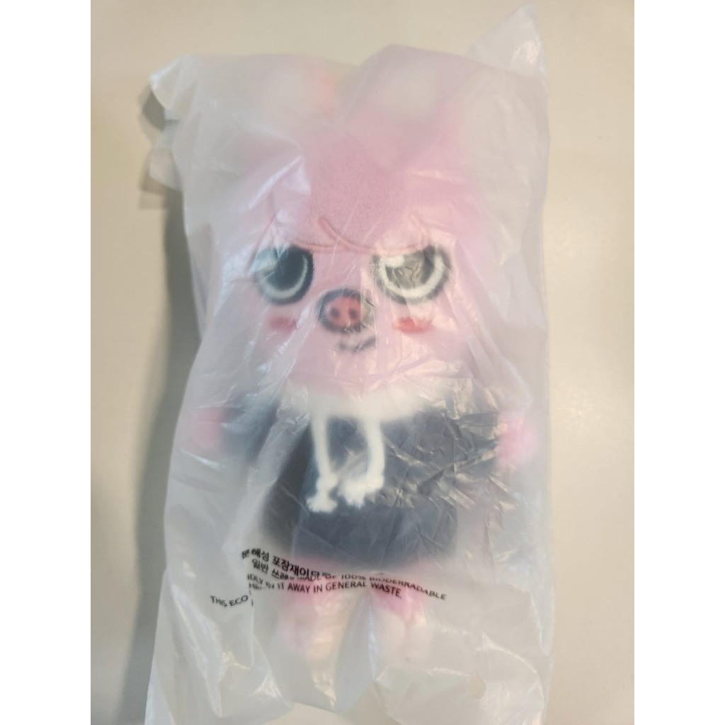 Em Mão) STRAY KIDS x SKZOO Todas As Versões PLUSH Doll POP-UP 4TH