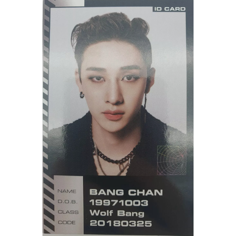 Oficial] SKZ STRAY KIDS ODDINARY MANIAC Álbum Cartão Fotográfico