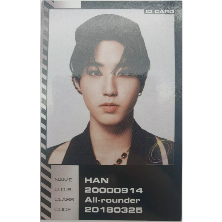 Oficial] SKZ STRAY KIDS ODDINARY MANIAC Álbum Cartão Fotográfico