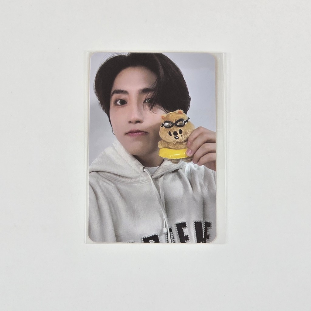 スキズ StrayKids ポガリ PCケース マジックスクール SKZOO MINI TUBE PHOTOCARD STRAYKIDS SKZOO'S MAGIC SCHOOL IN BUSAN