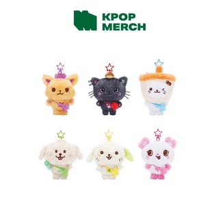 NCT WISH - Steady MD Wish Doll