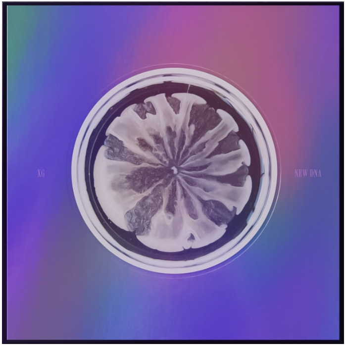 XG - [ NEW DNA ] 1ST MINI ALBUM | Shopee Brasil