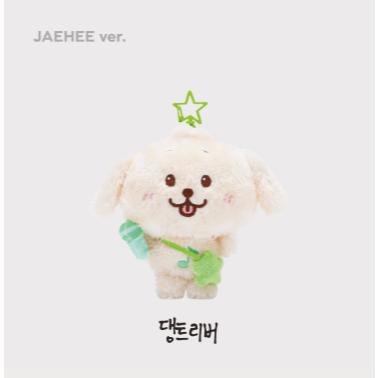 WISH DOLL) 2024 NCT WISH [LET'S GO STEADY] 2ND OFFICIAL MD