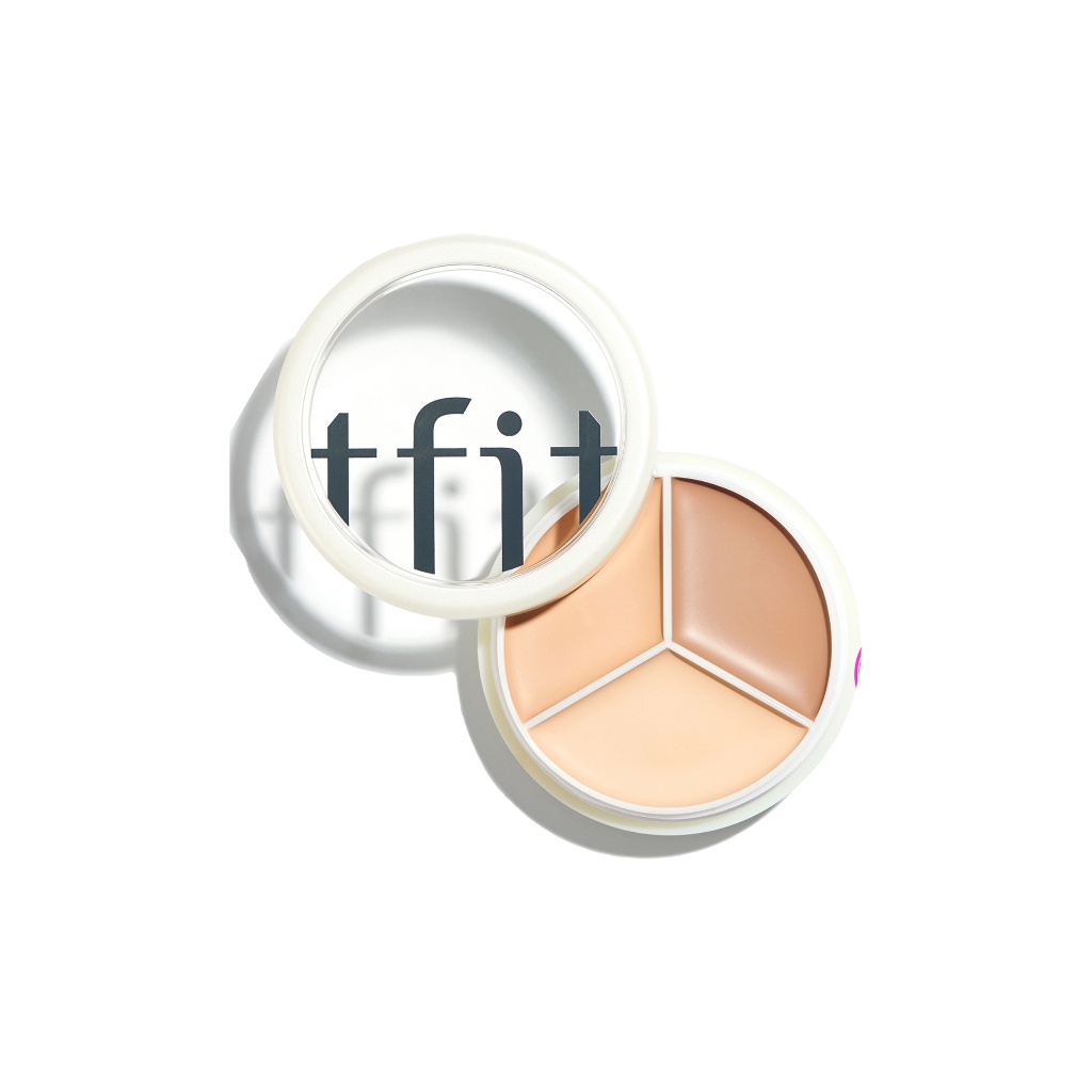Tfit Cover Up Pro Concealer 15g 4types