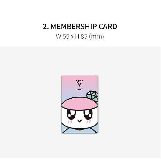 KIT De Membro De SEVENTEEN CARAT Produto Oficial | Shopee Brasil