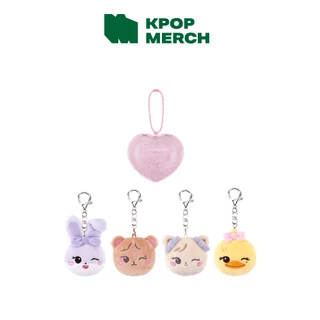 BLACKPINK = DEADLINETOUR MD CHARACTER PLUSH FACE KEYRING + CASE