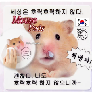 Mouse Pads Fofos Para Hamster 3p-Kitsch Coreano Retro Design Material De Papelaria Escritório E Escola