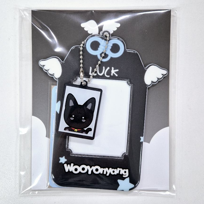 ATEEZ ANITEEZ IN DREAMLAND MD PVC PHOTOCARD HOLDER | Shopee Brasil