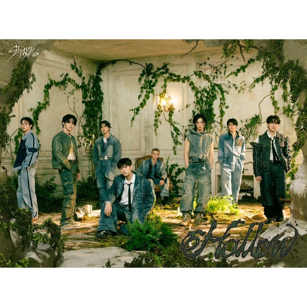 STRAY KIDS - Japan 3rd Mini Album [HOLLOW] | Shopee Brasil