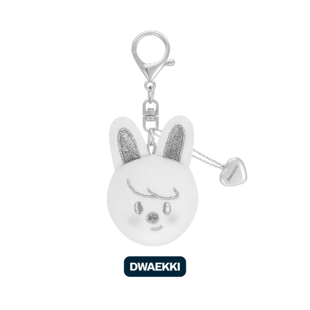 SKZOO FACE KEYRING SILVER Ver.) Stray Kids [celebrATE] MD (15th