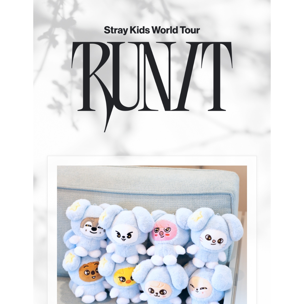 SKZOO PLUSH in TASY) Stray Kids World Tour [RUN IT SEOUL] Merch