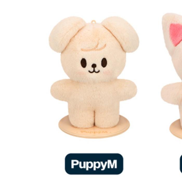 SKZOO PLUSH STANDING Ver.) Stray Kids (SKZ) [celebrATE] MD (15th