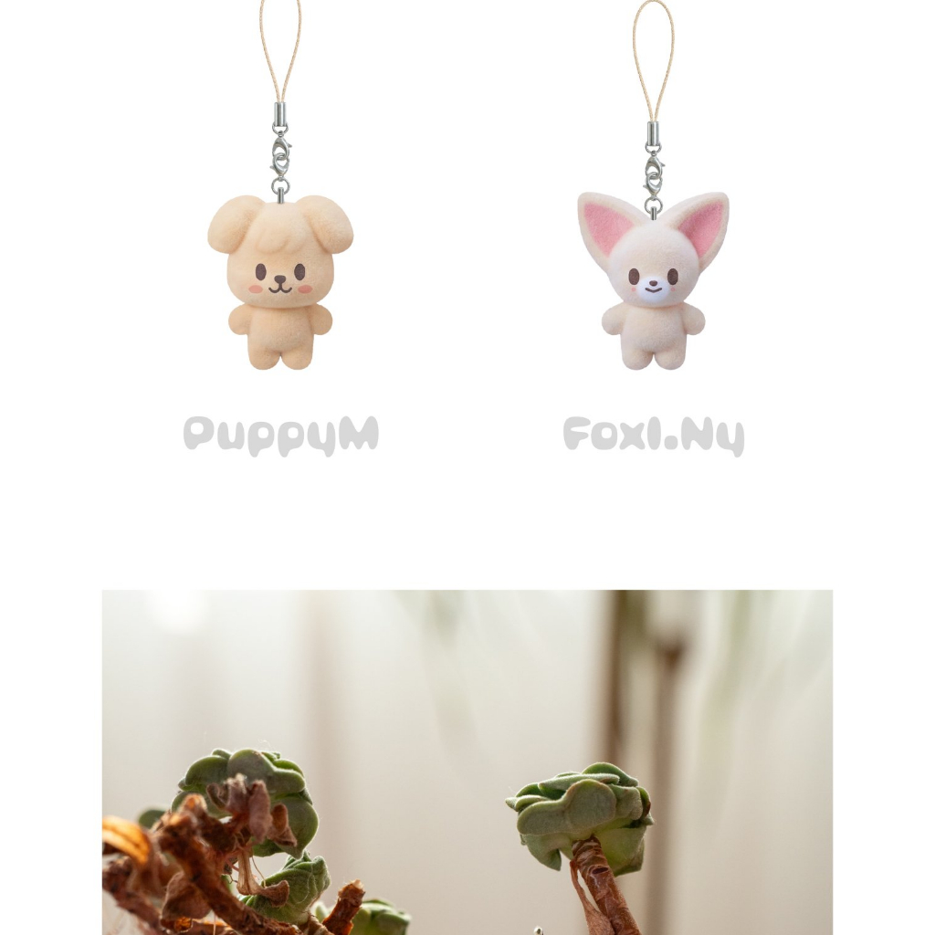 Stray Kids SKZOO SECRET MINI CHARM コンプ SKZOO SECRET MINI CHARM) Stray Kids [STAY in Our Little House] MD