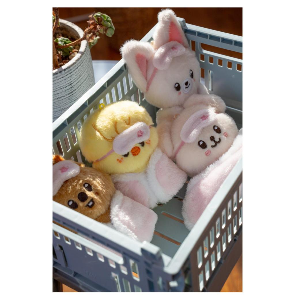 SKZOO PLUSH 10CM Ver. - Stray Kids - STAY in Our Little House MD
