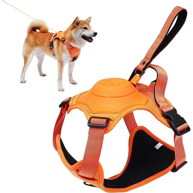 Kit Coleira 2x1 - Guia + Peitoral Para Cães Grandes GG