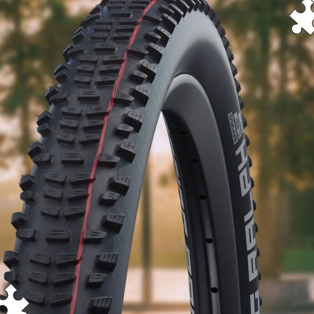 Schwalbe