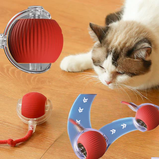 Bola para Gato em Oferta | Shopee 2025