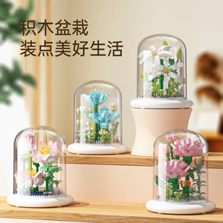 Preservado Flores Montagem Educacional Montagem Educacional Brinquedos de Mesa Brinquedos de Mesa Modelo Ornamentos Meninas Aniversário Dia dos Namorados