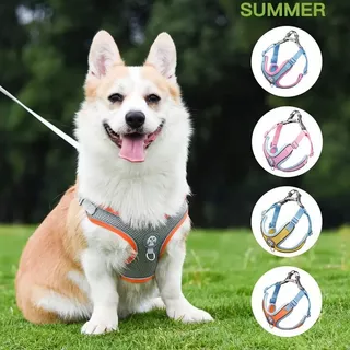 Hp082-11 Venda a Quente de Verão Venda a Quente de Verão Colete Refletivo de Malha Refletiva para Animais de Estimação com Colete Estilo Gato Leash Oxford Cloth Dog Chest Back
