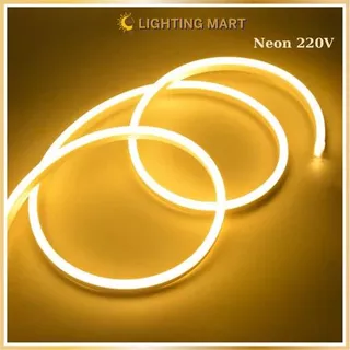 Combo 5M 10M 220V Neon LED Strip + 1 Fonte De Alimentação Gratuita , Tira Decorativa À Prova D