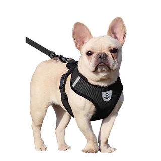 Arreios Para Cães Leash Gatos De Estimação Coleira De Malha Correia De Trela Completa Conjunto Completo Tração Da Ajustável Animais