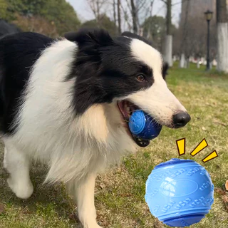 Brinquedos De Bola De Brinquedo Para Limpeza Dos Dentes Do Cachorro Squeaky Ball