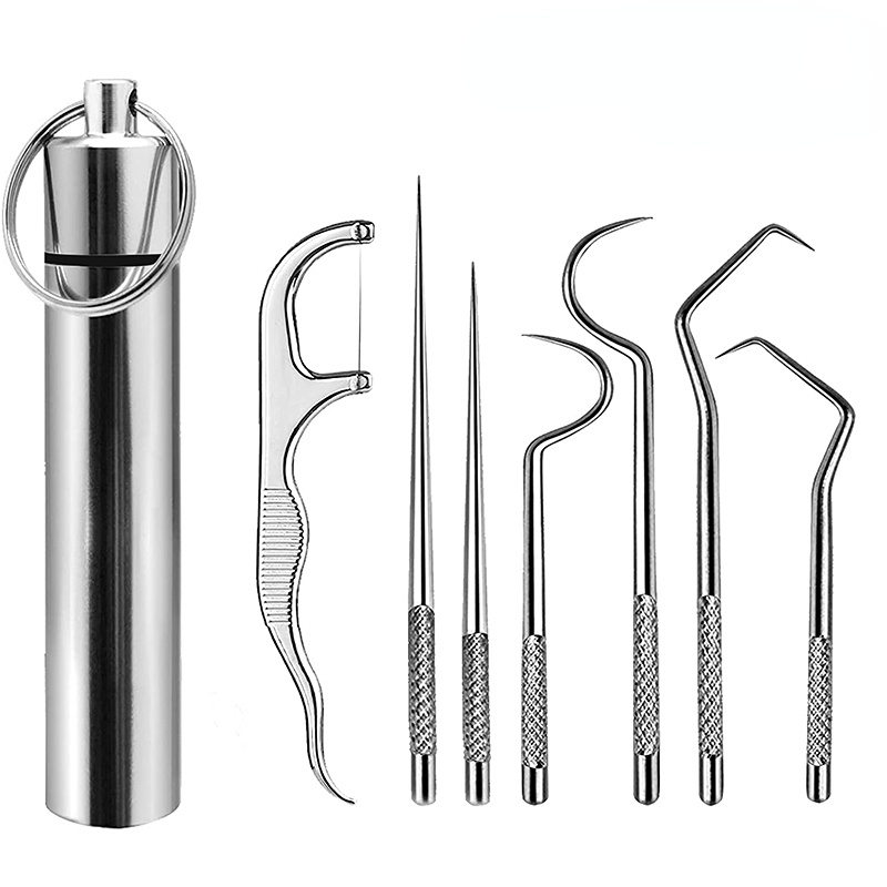 7pcs/set 304 Conjunto De Palitos De Aço Inoxidável , Tubo De Armazenamento Portátil , Fio Dental Metálico , Ferramenta De Limpeza oral Dos Dentes